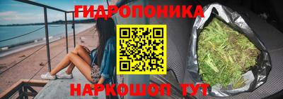 амф Новокубанск