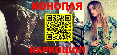 стаф Новозыбков