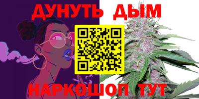 стаф Новозыбков