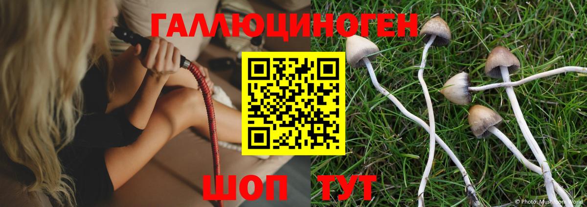 что такое наркотик  Вход с VPN  Урус-Мартан  Галлюциногенные грибы Magic Shrooms 