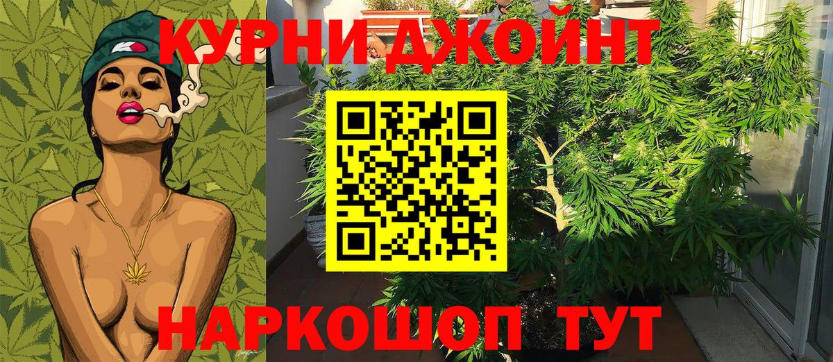 Бошки Шишки семена  Вход с VPN  Урус-Мартан  Конопля VHQ  Марихуана VHQ 